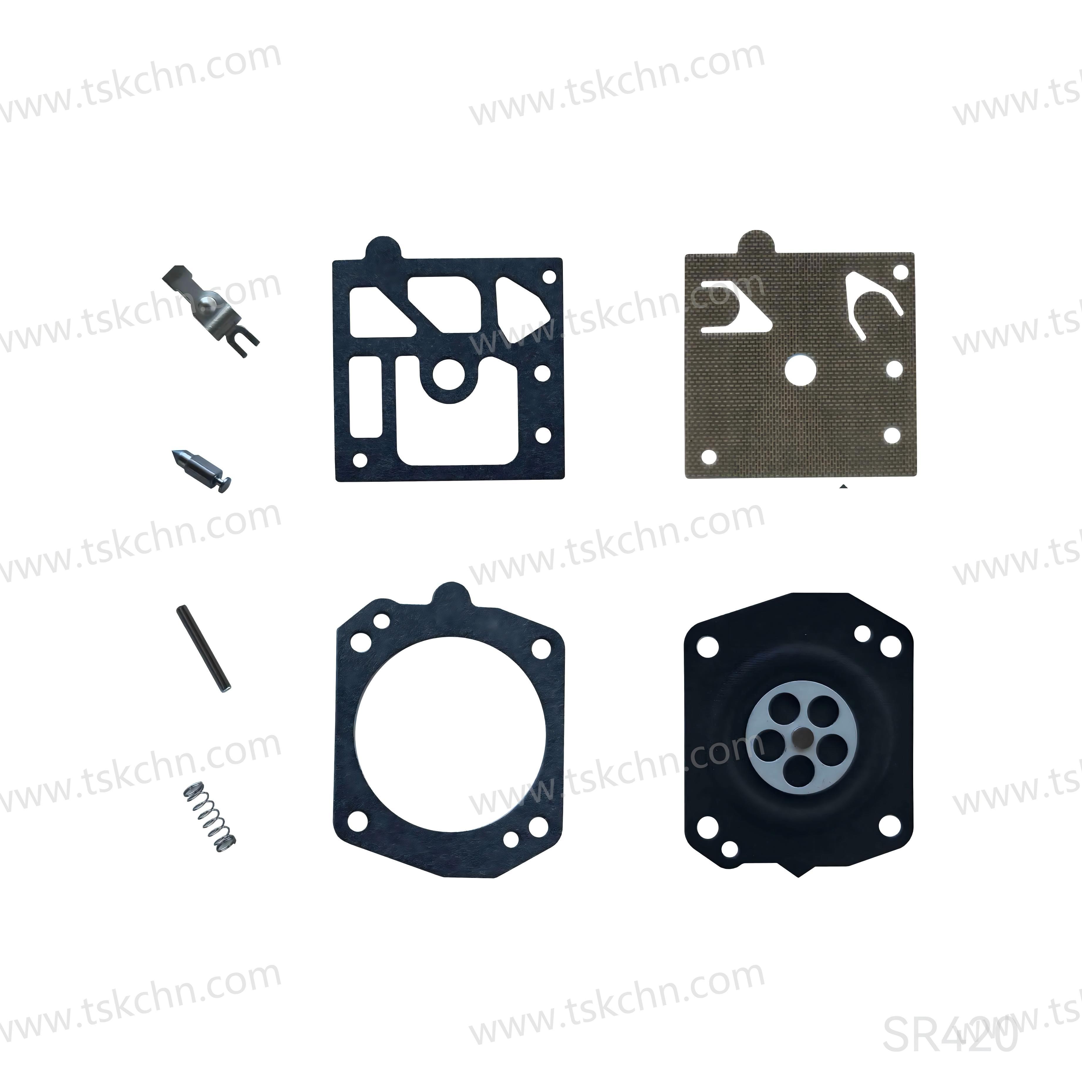 SR420 Carburetor Repair Kit